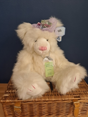 Lola Bear