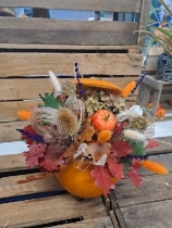 Baby Pumpkin   Dried Arrangement