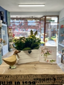 Easter Bunny Planter & Ducky Gift Set