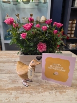 Rose Planter and DCUK Gift Set