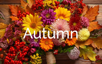 Autumn Flowers
