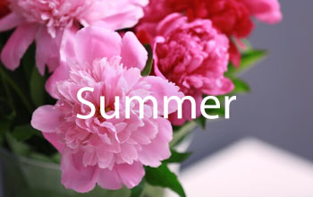 Summer Flowers