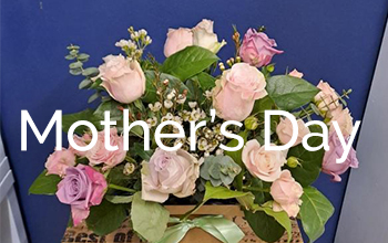 Sympathy Flowers