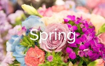 Sympathy Flowers